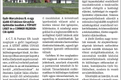 ctpartner_gyor_fuggoleges_liget